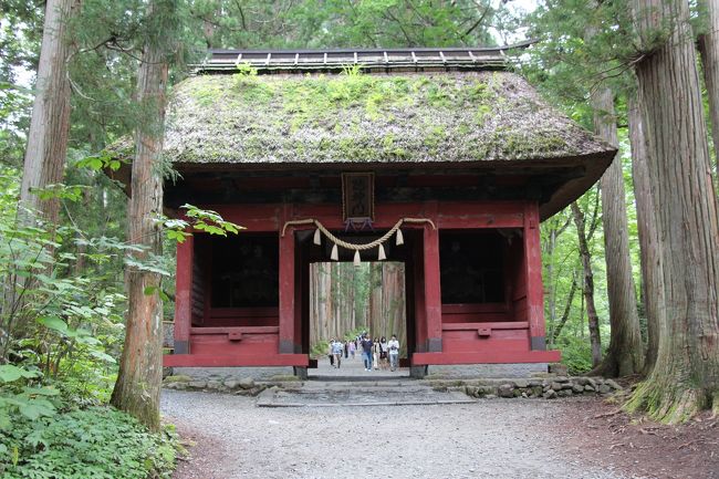 2014　ゆく夏を惜しんでの旅行<br />戸隠神社５社を巡る第三弾です。<br /><br />宝光社→中社→奥社<br />戸隠神社最後のお参りです。<br />奥社は駐車場からかなり歩かなければならないので、生憎の空模様が幸いして余り汗をかくこともありませんでした。<br /><br /><br />（参考）<br />戸隠神社公式ＨＰ<br />http://www.togakushi-jinja.jp/shrine/<br /><br />----------------------------------------------------------------<br />☆2014　夏とは思えない陽気でした！（その1）<br />　http://4travel.jp/travelogue/10983127<br /><br />☆2014　夏とは思えない陽気でした！（その2）<br /> http://4travel.jp/travelogue/10991071