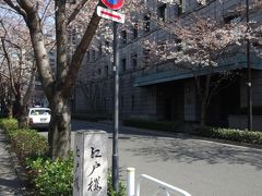 東京駅周辺でランチ＆日本橋桜フェスティバルをお散歩♪