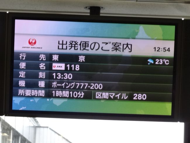 伊丹空港は国内線専用なのでかなり空いています。<br />そして上空の放射線はこの時期は伊丹羽田間でもかなり高い観測数値が出ていました。