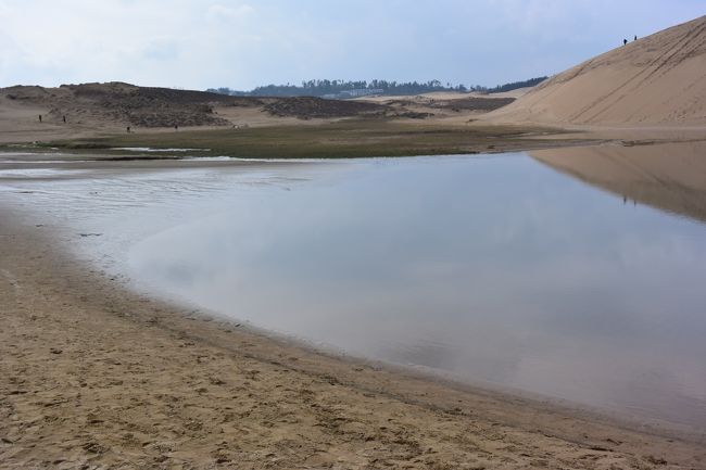 鳥取マラソン2015に参加するため、鳥取市にやってきました。<br />大都市のマラソン大会と違って前日に受付手続きをする必要が無いので、初めて訪れた鳥取市内を麒麟獅子ループバスを使って明日のマラソン大会のコース下見を一部兼ねて市内観光をすることにしました。<br />鳥取の代表的な観光地、鳥取砂丘や鳥取城のほかに、砂地を活かした砂丘らっきょうの畑や鳥取港に隣接した地産池消の商業施設など、街歩きを楽しみました。鳥取マラソンは大規模な応援イベントはありませんが、質実な鳥取らしさがあって良かったです。<br /><br />鳥取空港 鳥取砂丘コナン空港<br />→空港リムジンバス→鳥取駅→鳥取城跡 久松公園→仁風閣→鳥取県立博物館→鳥取砂丘（鳥取砂丘観光リフト、砂丘センター、鳥取砂丘オアシス広場）→鳥取港（鳥取県立 とっとり賀露 かにっこ館 ）→コカ・コーラウエストスポーツパーク→鳥取駅（鳥取しゃんしゃん踊り）<br /><br />鳥取シティホテル泊<br /><br />スーパー居酒屋鳥取だいぜん　にて夕食後、鳥取駅前のイルミネーションイベントを見学<br />