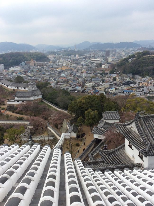 平成の大天守閣保存修理工事が終わり、5年ぶりに姫路城が姿を現したので、散歩がてら、ちょっと行ってみることにしました。<br /><br />白い鷺が舞い立つようにみえることから、<br />別名「白鷺城」とも呼ばれているそうですが、<br />昭和の大修理から４５年、世界文化遺産・国宝姫路城は、築城当時の美しさを蘇らせて、それはそれは綺麗でした。<br /><br /><br />