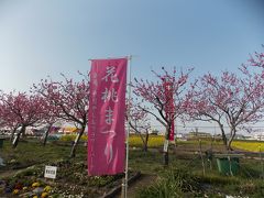 中川フラワーパーク「花桃まつり」