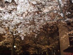 春の奈良・京都・大阪