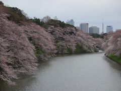 2015 東京桜散歩　靖国神社　千鳥ヶ淵