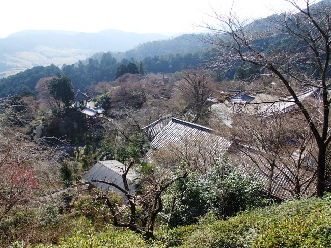 京都の桜は未だ早い時期ですが、西国三十三霊場の巡拝を再開します。京都西山から洛西方面、第２０番善峯寺から花の寺として有名な勝持寺、近接の大原野神社を廻り、亀岡の第２１番穴太寺をお参りします。<br /><br />表紙は、西国三十三霊場第２０番　京都西山　善峯寺の境内全景（奥之院薬師堂から）。