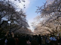 ゴ－ドンの初日本旅行　④　浅草　ｙ　上野