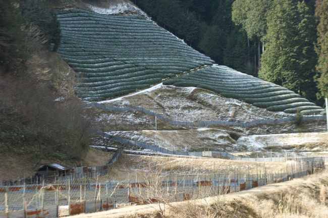 偶然 古道を走っていた。京都府道321号和束井手線 京都府道62号宇治木屋線(旧道) 京都府道283号奥山田射場線 国道307号(近江グリーンロード) 国道422号(国道307号と重複区間) 和束川 和束町役場 和束郵便局 相楽東部広域連合立和束中学校 相楽東部広域連合立和束小学校 元・道の駅茶処_和束 NTT西日本南京都支店和束別館 朝宮ゴルフコース