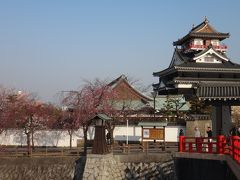 清須城の桜 -1-