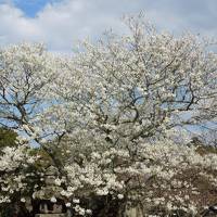 北九州から山口県へ＊萩周辺旅行