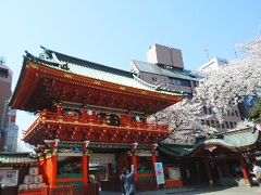 都内の桜は満開！