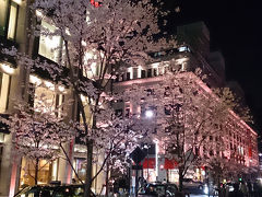 2015年3月 日本橋ぶらっと散策♪満開の夜桜を楽しむ♪