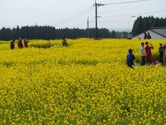 春の霧島を11キロ歩く!!