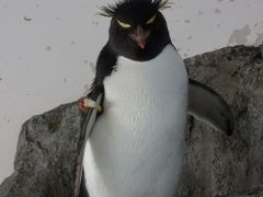 ひとり旅⑤　海遊館でゆっくりと