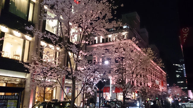 2015年3月 日本橋ぶらっと散策♪満開の夜桜を楽しむ♪