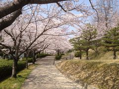 『徳川家康』の母『於大の方』生誕地の於大公園は『 桜 』が満開
