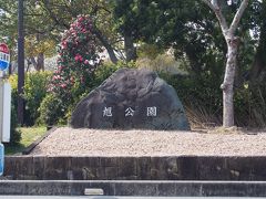 旭公園 桜まつり2015