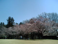 花と緑で季節の変化を実感。