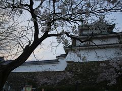 旅するイルカ♪　桜だより　2015　Part3　和歌山城へ