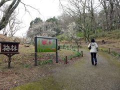 ０６．啓蟄直後の中伊豆１泊　修善寺　風の径　源範頼の墓　安達盛長の墓　梅林遊歩道　高浜虚子の句碑　修善寺梅林梅まつりその１