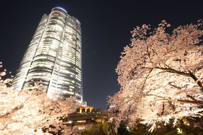 カメラと三脚を通勤カバンに忍ばせ出勤。会社を早く上がって明るい内から撮影。夏日だったという事で、とても穏やかな午後を過ごせました。夜景の時間まで粘りましたが明日も会社なので適当に切り上げて終了。