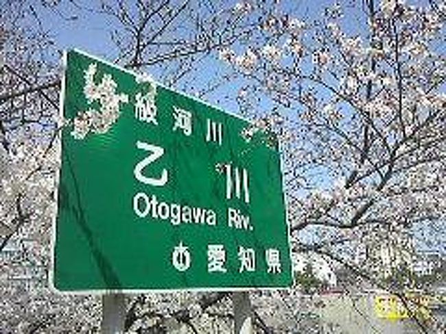愛知の花見は初めて<br />岡崎城へ行ってみました<br />乙川から岡崎城が見えなかった<br />川沿いは一週間前に歩いたが桜はツボミだけ<br />三月末日やっときれいな満開の桜をみることができた<br />四月五日に大名行列があるらしい<br />混雑する前に行けてよかった