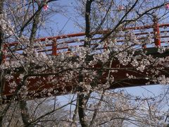 青春18春　①　小見川城で花見