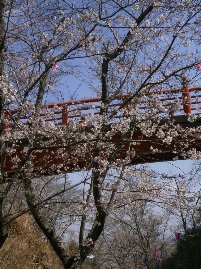 青春18切符で、千葉の古城に花見です。