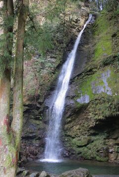 2015春、四国周遊(4/26)：3月29日(4)：徳島、祖谷(いや)渓、かずら橋、琵琶の滝