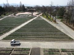 砺波チューリップ公園