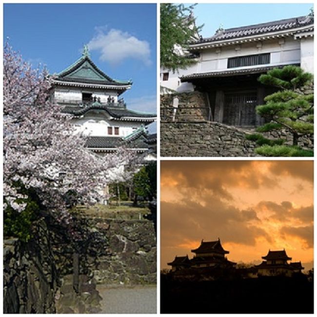 はるばると東京から和歌山へ ー 留学生と会い 和歌山城で夜桜見学 和歌山市 和歌山県 の旅行記 ブログ By Tamegaiさん フォートラベル