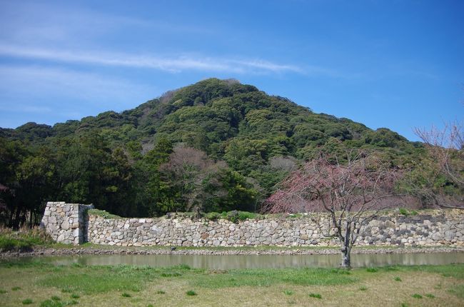 萩城跡の後ろには指月山（しづきやま）という山が聳えていてこの山は海に面した側が断崖絶壁で江戸時代は外敵の海からの侵入を防ぐのには好都合であったと思われる。<br />その指月山の頂上には要害又は詰丸と呼ばれた最後の砦ともいうべき建物がかつてはあったという。<br />今回はその萩城要害跡に行ってみようというわけだ。<br />山頂の高さは１４３ｍ、直線距離なら大した距離ではない。<br />螺旋状に登るのでその５倍としても片道７１５ｍだから分速８０ｍ（駅から徒歩何分という時の基準らしい）で計算してみると<br />９分足らず、山道の負荷を考えても片道１０分程度かなと思って登り始めました。<br />元気があったのは最初の３分間程度、その後はあまりに急な山道に悪戦苦闘して頂上に着くまでに１７分を要してしまいました。<br />登り始めてすぐの所に、仰徳神社跡があり、重建太祖神廟記の石碑が見られました。<br />頂上には落書きだらけの白壁の外壁と貯水施設跡や大きな石が残されていました。<br />眼下には日本海が木々の合間から見え隠れして中々いい景色でした。<br />ところどころにベンチも有りレジャーシートか何かを広げてお弁当を食べたい気分になりました。<br />頂上には都合、１０分程度滞在して下ることにしました。<br />帰りは下りなので些か早くなるかと思いきや然程効率は上がらず１６分で下山しました。<br />下りた時には膝がガクガクでやはりアラフィフには少々キツい道程だったなと改めて思いました。<br />登山道の入口に所要時間２０分～３０分と書かれていましたがこれってきっと片道のことですよね。<br />まさか往復ではないでしょうね、きっと。