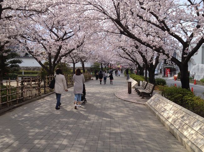 桜満開の時期は１週間程しかないので、急いで満開の所を探しながら、きょうは『清州城』に行ってきました。<br /><br />名古屋市の北側を流れる新川の堤防沿いに多くの桜が植えられています。<br /><br />桜街道の近くには市街地にそびえ立つ清州城が有ります。<br /><br />天守閣にも初めて登ってきました。<br /><br />清須市観光協会・公式サイト<br />http://www.kiyosu-kanko.jp/ <br /><br />清州城近くにはビールの製造工場見学と試飲が出来る<br />『キリンビール名古屋工場』<br />http://www.kirin.co.jp/entertainment/factory/nagoya/<br />