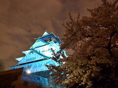 2015　大阪城の夜桜散歩