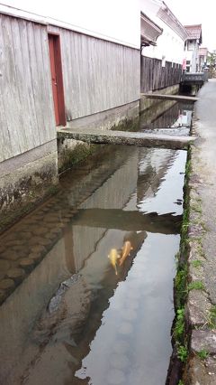 にわか乗り鉄？山陰満喫パスの旅 【３日目】(３-３) 三朝温泉→倉吉白壁土蔵群→鳥取 の巻