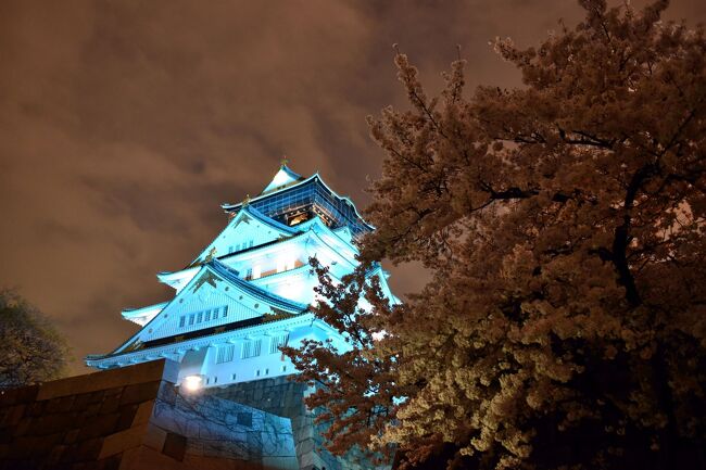 大阪各地で「桜が満開」の便りが届くなか、夜桜見物を兼ねて、この日ちょっとした趣向がある大阪城を訪れました。<br /><br />平成１９年１２月、国連総会において「４月２日を世界自閉症啓発デーに定める決議」が採択されたのを受け、自閉症をはじめとする発達障害について、全世界の人々に理解を深めてもらうための啓発活動が行われています。<br /><br />その一環として、世界各地のランドマークを、「癒し」や「希望」などを表すブルーにライトアップする運動が展開されており、ここ大阪でも、大阪城天守閣をはじめ、通天閣、太陽の塔がライトアップされます。<br /><br />この日、淡いブルーに浮かび上がった大阪城の天守閣を見て、このような障害をお持ちのお子さんたちが、生き生きとした生活が送れるようにと云う思いがつのりました。