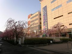 早朝ウォーキングで桜を愛でながら市内各地を巡る・・・④ヨーカ堂久喜店周辺のしだれ桜から愛宕神社まで