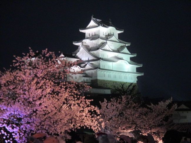 平成の大修理が終わり、素屋根が取り外された大天守閣と夜桜の共演は５年ぶりだそうです。<br />夜桜会の期間だけ、普段は立ち入れない夜の西の丸庭園が無料解放されると聞いて、昨日の龍野城にひき続きカメラを持って出かけてきました。<br /><br />今夜こそ、綺麗な夜桜が撮れるだろうか・・・