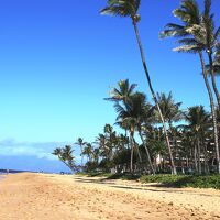 ハワイの風と出会う旅 8(ビーチウォークを征く)