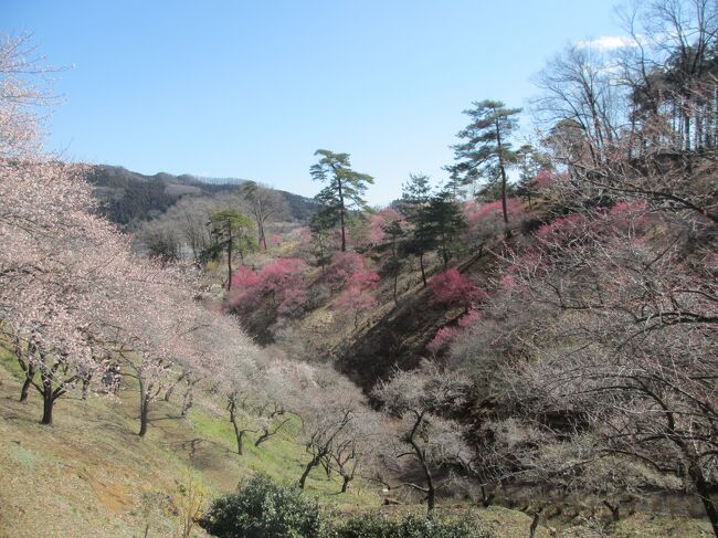 暫しの別れとなる梅郷を胸に刻んで。