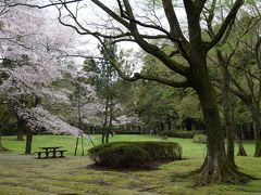 2015.4月　桜と新緑　日本の桜100選　泉自然公園散策