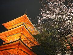 2015年4月♪春の京都 一日目(二条城・八坂神社・高台寺・清水寺etc)