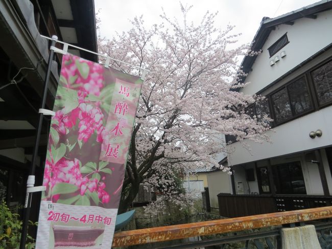 元同僚から滋賀県長浜市のお寺で「馬酔木展」開催してるので。<br />行きませんかの誘いの電話が有り。<br />ネットで調べて、大通寺と解り即決定しました<br /><br />ついでに西国三十番札所を予定していましたが、同僚が行かないと言うので聞き入れて。<br /><br />北国街道の旧城下町をブラブラして来ました。<br /><br /><br /><br /><br /><br />表紙　　　　　　　　　　　　　　　　　　　　　長浜市内