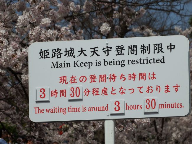 天気予報は「降雨」、桜前線情報は「満開」。<br />朝、目覚めると予報に反して好天。<br />ヒマなので姫路城に桜見物に向かいました。 <br /><br />五年ぶりに登城が再開された白鷺城。<br />桜が満開な事も有り、大変な数の来訪者でした。<br /><br />例年なら桜の下を自転車で走れたのに、今年は徒歩でも近づけないほどの混雑。<br />天守閣以外は入場制限がありませんが、チケット購入待ちの長い行列が続いていました。<br />正門からの入場は大変な混雑なのですが、市立美術館側からは混雑無く入場出来ます。<br />また自転車利用なら臨時駐輪場があるので歩く距離も少なくて済みます。<br />