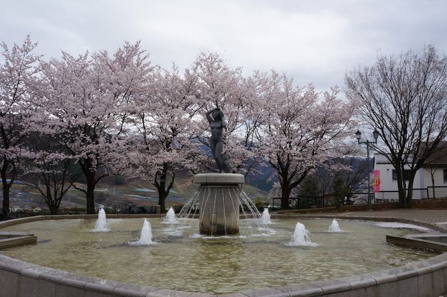 満開の桜を堪能した後は、勝沼で今年初めて（前回から３か月ぶり）のワイナリー巡りというかワインの買い出しへ。<br />今回訪問のワイナリー<br /><br />①フジッコワイナリー<br />②まるき葡萄酒<br />③蒼龍葡萄酒<br />④大泉葡萄酒（今回は写真なし）<br />⑤原茂ワイン<br />⑥麻屋葡萄酒<br />⑦大和葡萄酒（今回は写真なし）<br /><br />ワイナリーの他ぶどうの丘にも寄りましたが、今回はフルボトル１４本と一升瓶ワイン１８本購入。