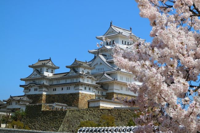 天守閣のリニューアルを終えたばかりの世界遺産「姫路城」を見たくて、ＪＡＬの新千歳→伊丹空港便を予約し、神戸三宮にホテルをブッキングして、翌朝、姫路に向かった。<br /><br />この時期桜が満開で、天候にも恵まれ、青い空に白く美しく映える白鷺城は、何度見ても感銘を受ける名城だ。<br /><br />姫路城は、大阪城や名古屋城、熊本城など（復元されて、ＲＣ造）と違い４００年以上前の木軸組工法そのままなのだ。<br />現在の建築基準法では、出来ない城だ。<br /><br />この日は、リニューアル直後で、桜満開の時期と重なり、天守閣への入場制限が設けられていた。<br /> 