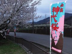 　信玄祭りの日中  と　神代桜