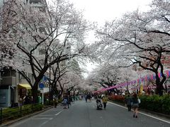 東京２０１５桜　【３】浮間公園～播磨坂～神田明神