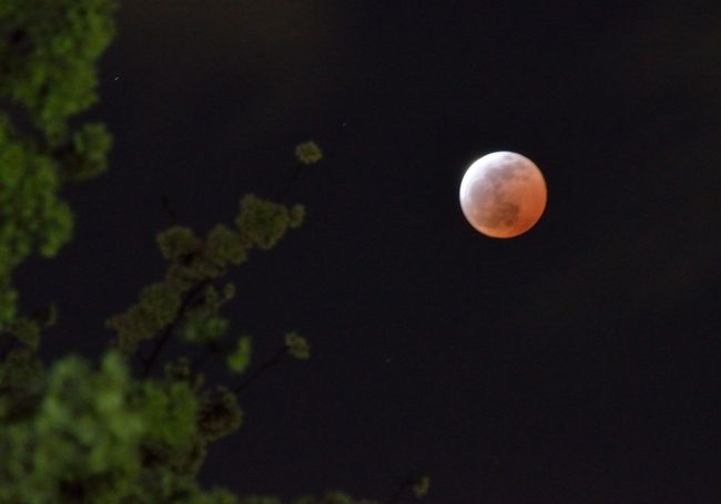 月食花見　～奇跡的に雲間から赤銅色の月が見えた！～