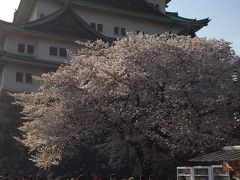 名古屋への旅2015春（８年振りの家族４人旅）３　花見＆軽く街歩き編