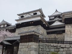 松山城と道後温泉の桜が満開！
